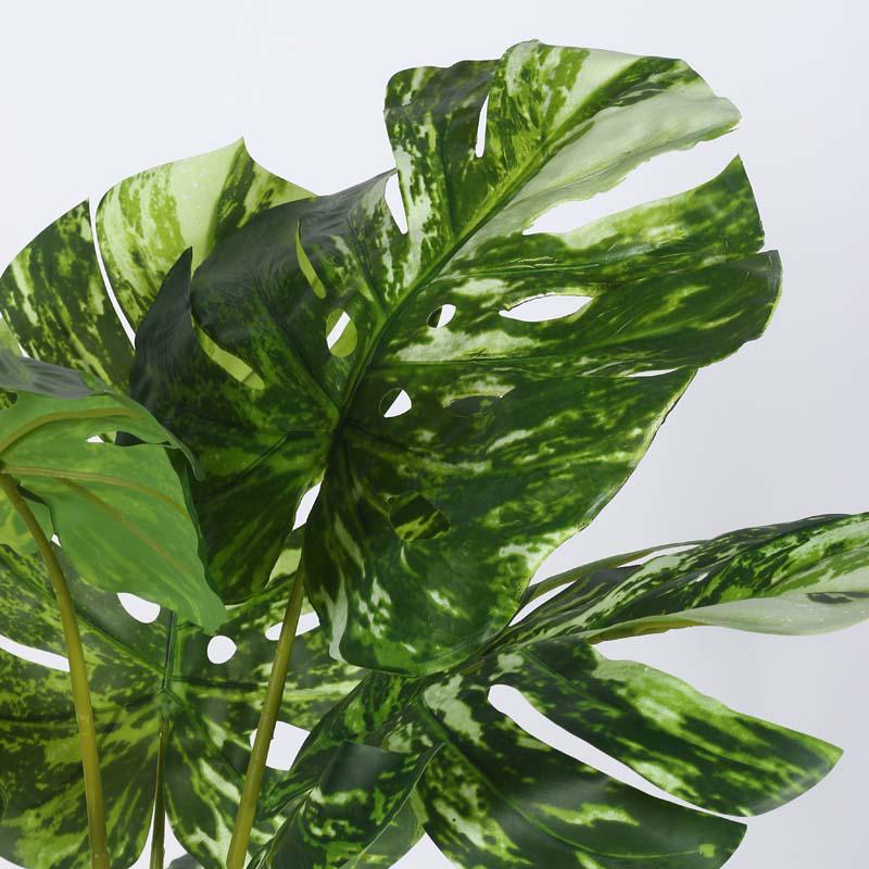 Faux Lush Variegated Monstera Plant With Black Plastic Pot - 4 Feet image 4