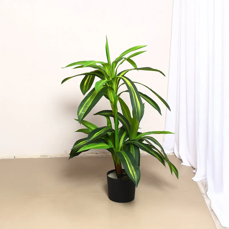 Lushly Artificial Draceana With Black Plastic Pot - 3 Feet media 3