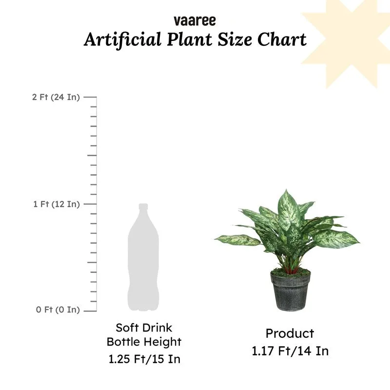 Artificial Dieffenbachia Plant Without Pot - 1 Feet media 7
