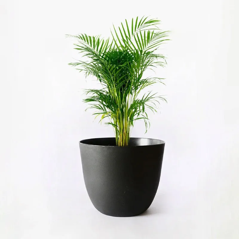 Obsidian Garden Planter - Set Of Four media 6