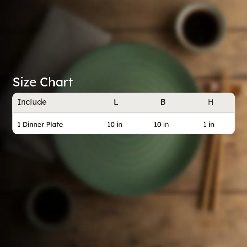 MealCore Ceramic Dinner Plate media 8