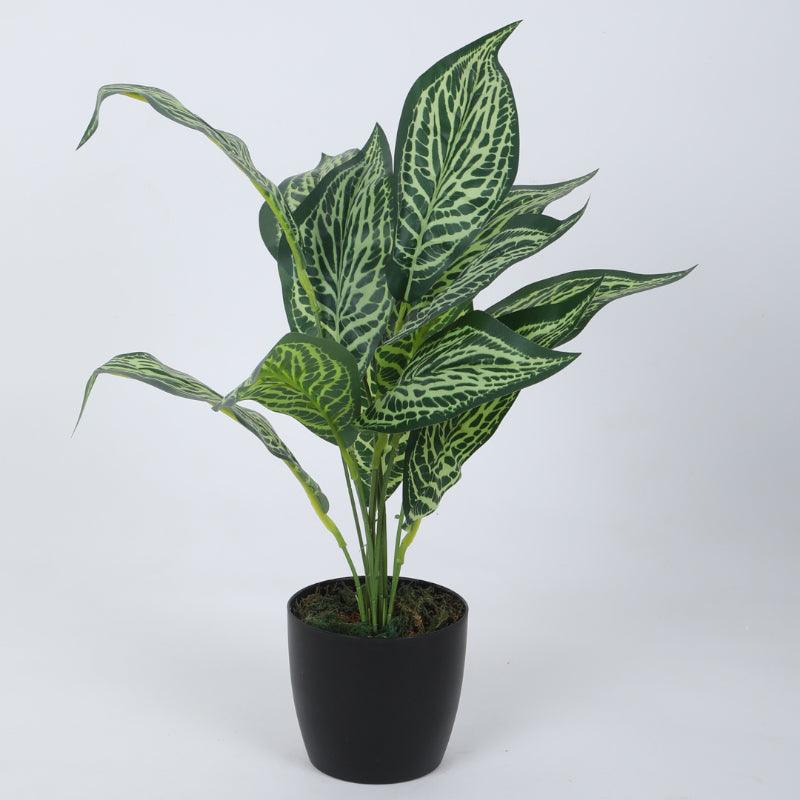 Faux Jale Croton Plant With Black Plastic Pot (50 cms) - Set Of Two media 4