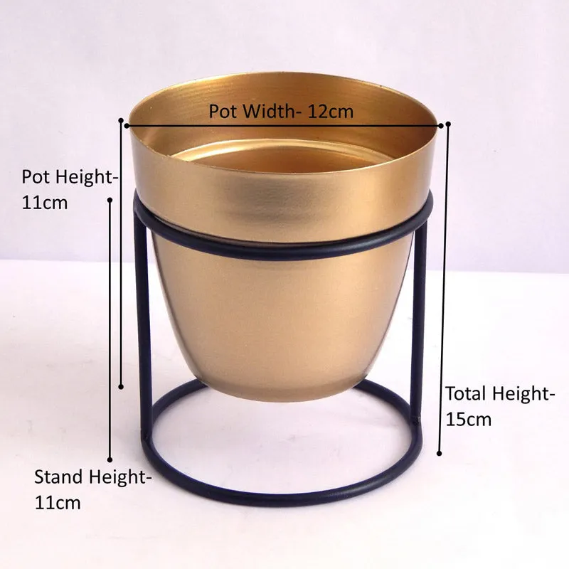Zutoia Black Planter - White media 8