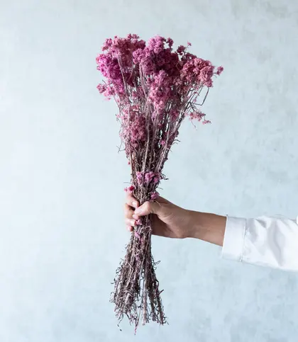 Dried Flowers & Leaves