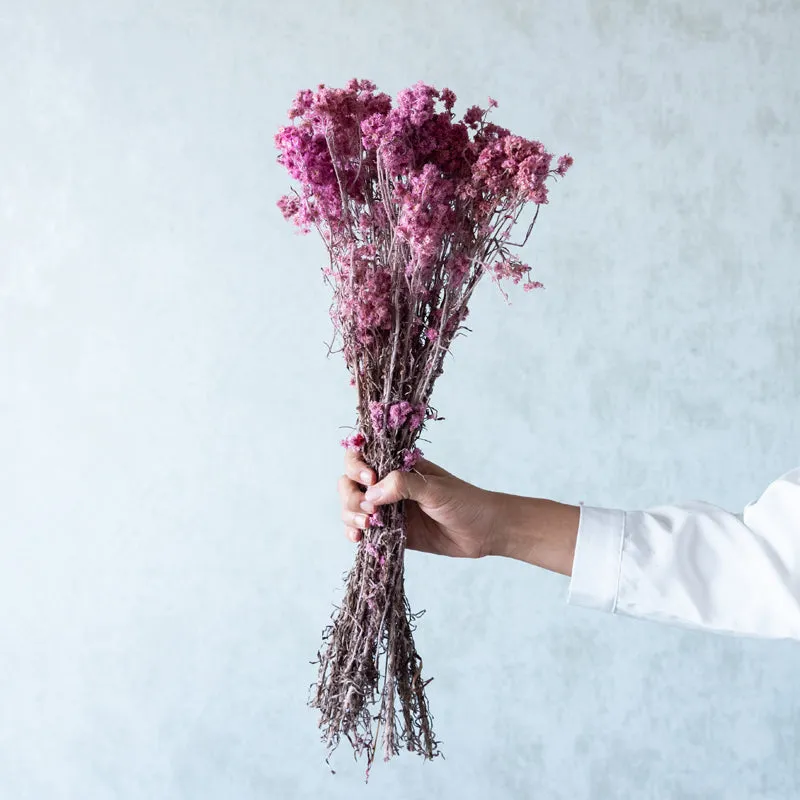 Gypso Glam Dried Flower Bunch - Pink media 1