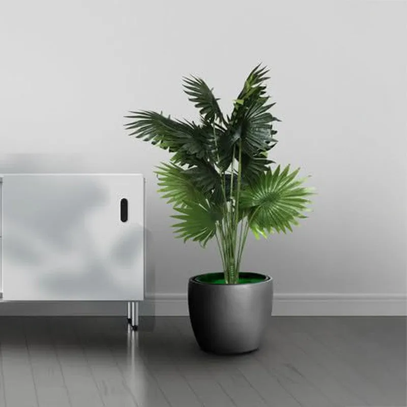 ExoticaGreen Artificial Fan Palm Plant With Black Plastic Pot - 1 Feet media 7