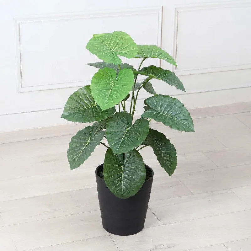Serene Space Alocasia Artificial Plant Without Pot - 2.3 Feet media 3