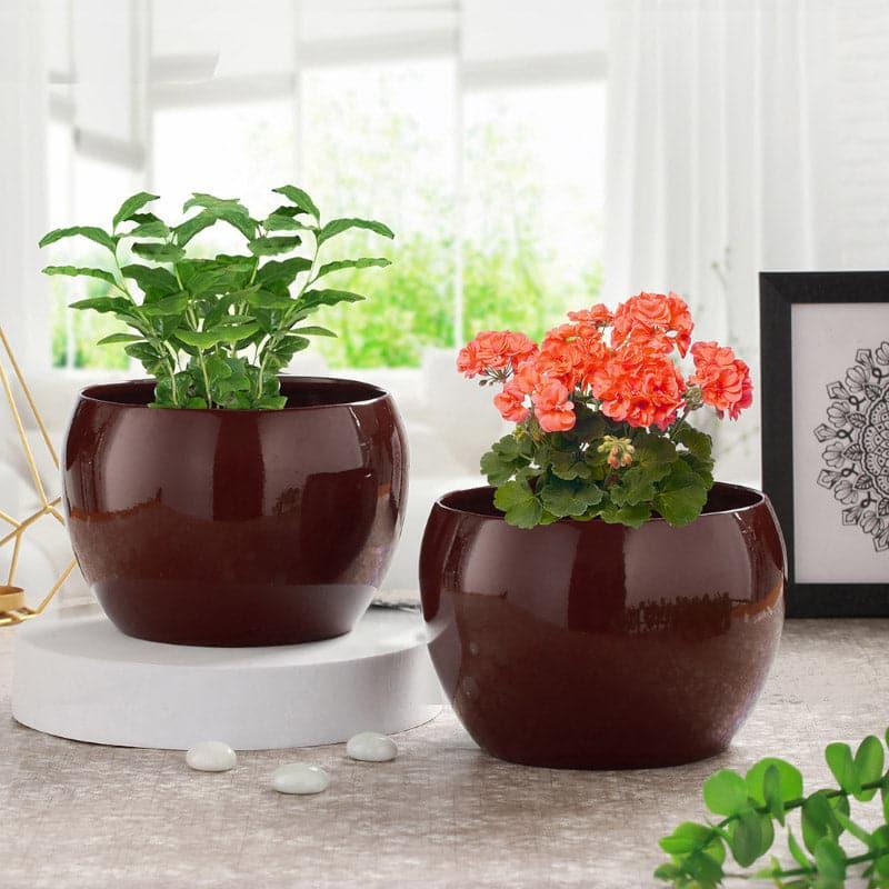 Marsha Miro Planter (Brown) - Set Of Two media 3