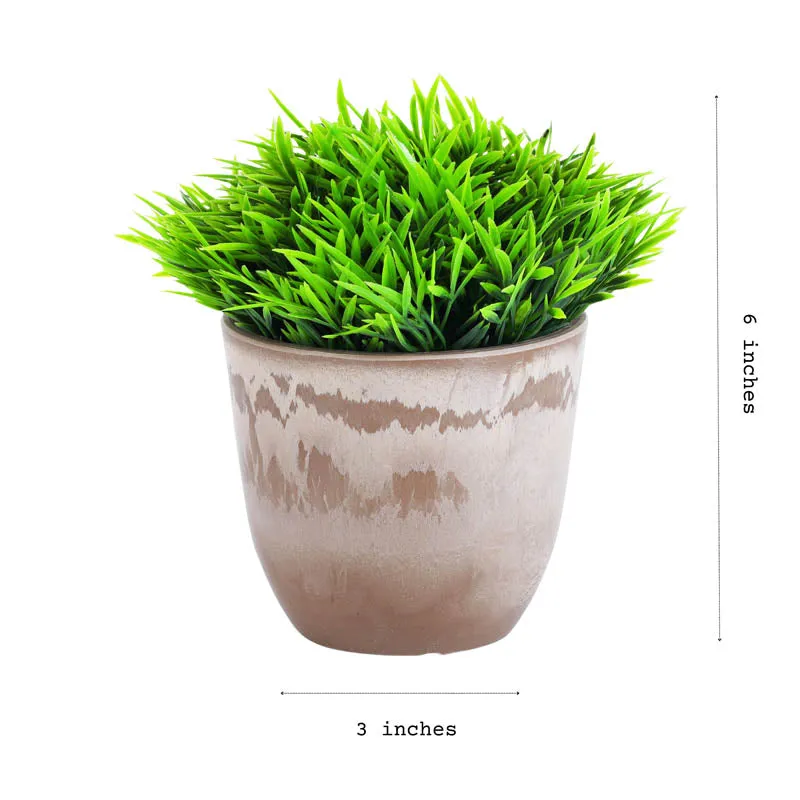Artificial Topiary Bush With Black Plastic Pot (Set Of Two) media 5