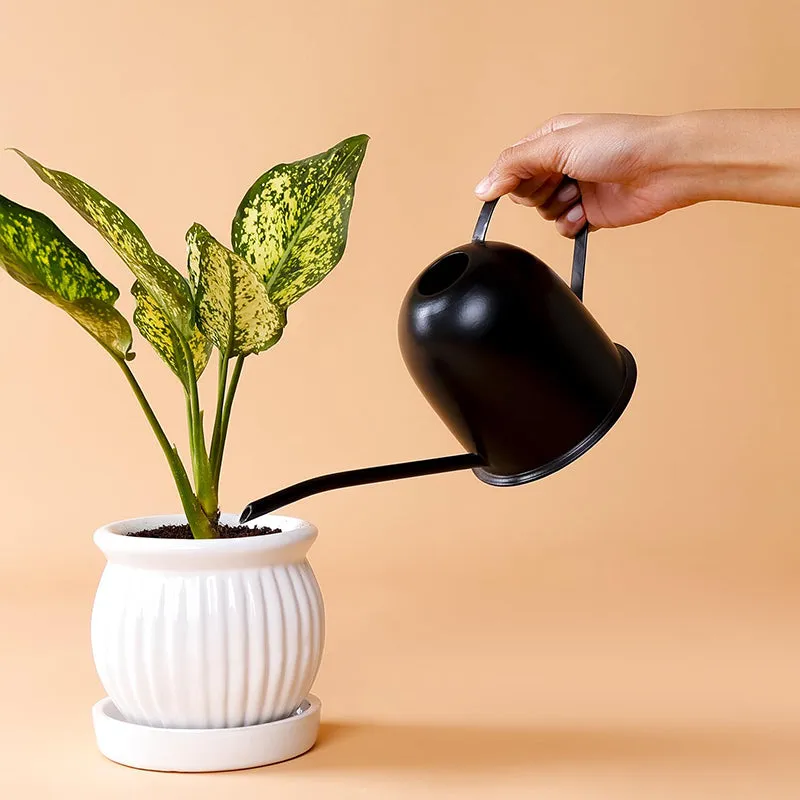 Spry Metal Watering Can media 8