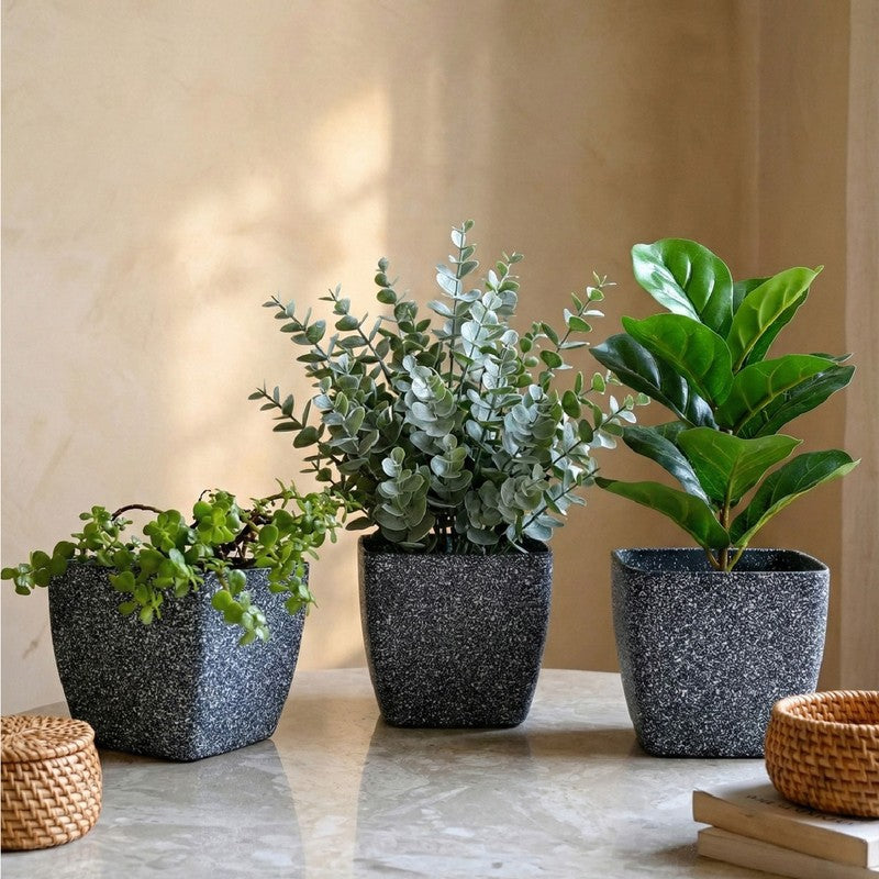 Monvia Garden Planter - Set Of Three media 4