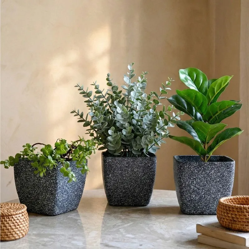 Monvia Garden Planter - Set Of Three media 4