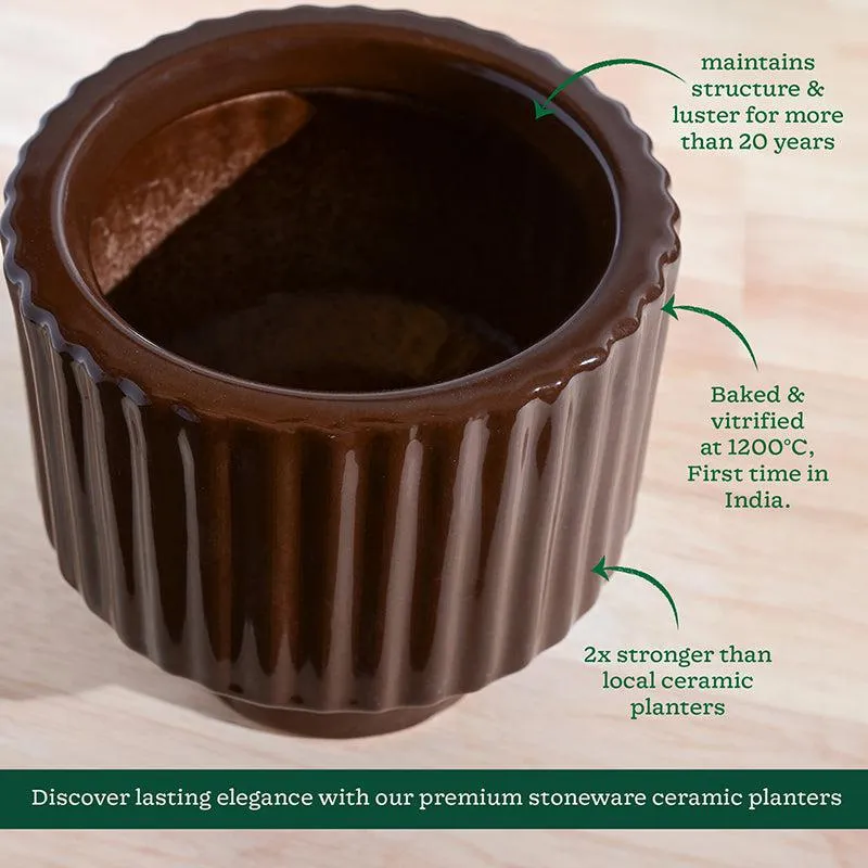 Ugaoo Classic Stria Ceramic Planter - Brown media 5