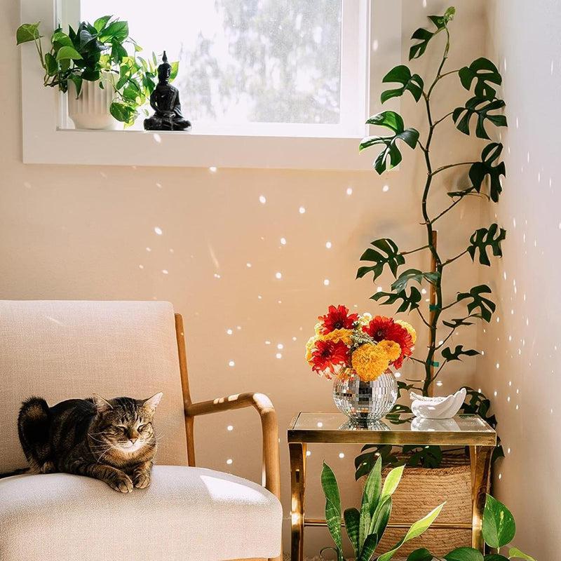 Hadassa Disco Planter media 4