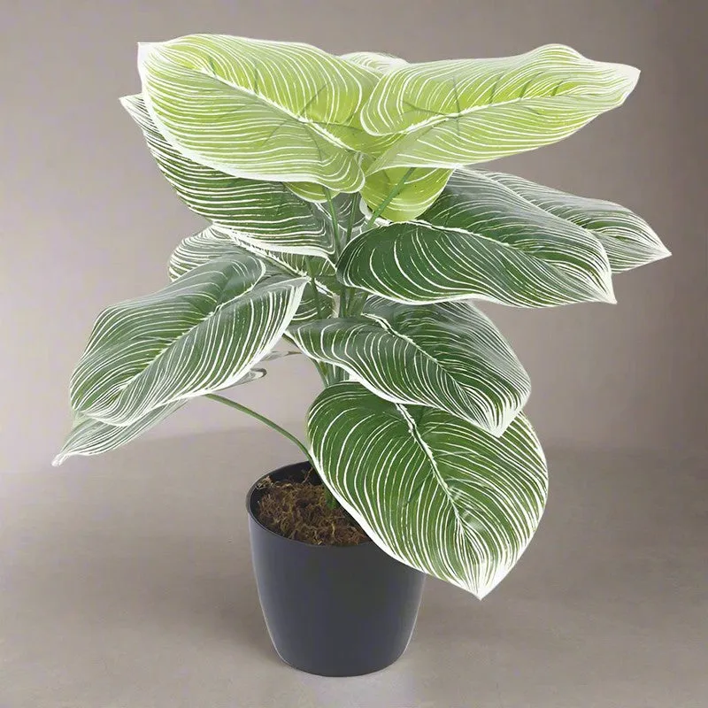 Faux Realtouch White Dieffenbachia Tree With Black Plastic Pot - 1.8 Feet media 2