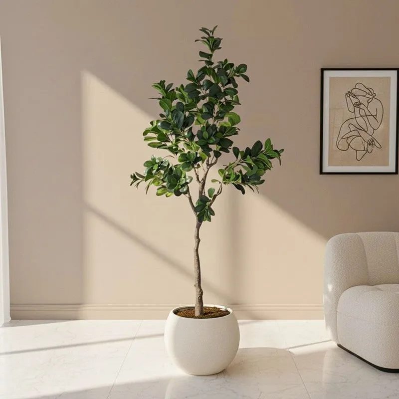 Artificial Peperomia Plant Without Pot - 5.9 Feet media 1
