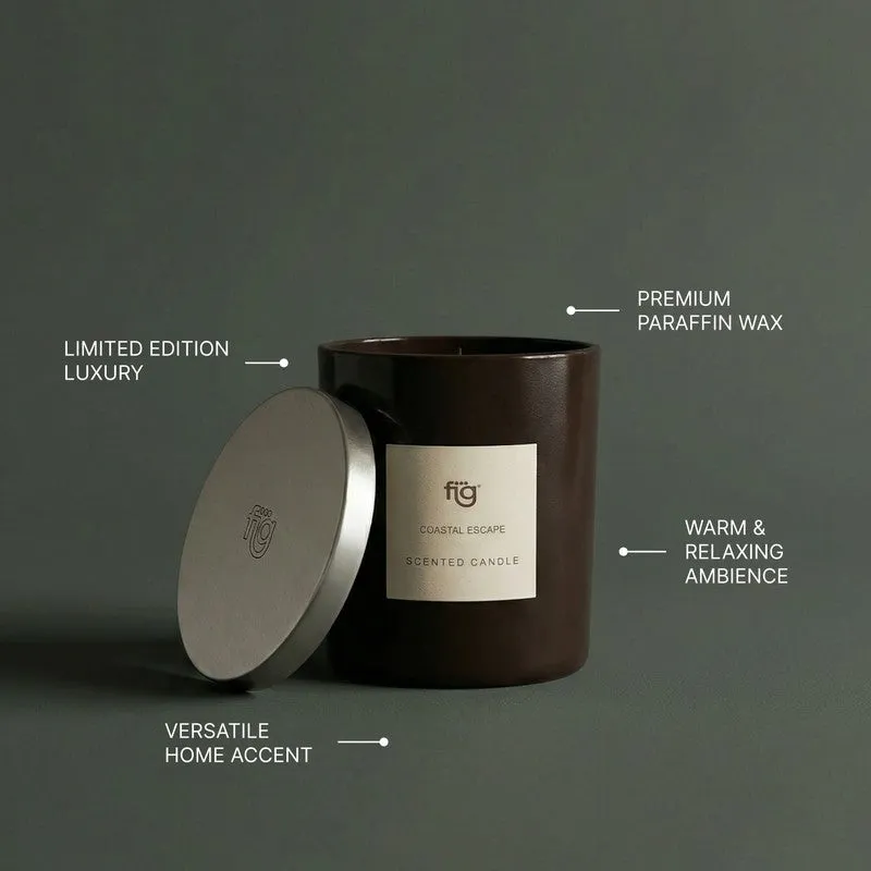 Fig Living Coastal Escape Scented Candle - Mandarin Orange, Jasmine, Musk & Sandalwood media 7