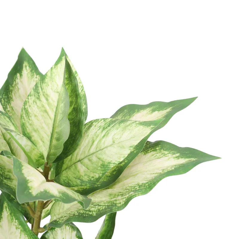 Artificial Realistic Variegated Dieffenbachia With Black Plastic Pot - Green media 7