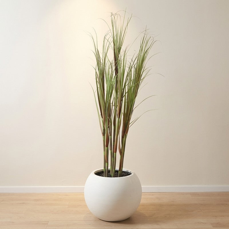 FreshNest Artificial Plant With Black Plastic Pot - 5.9 ft