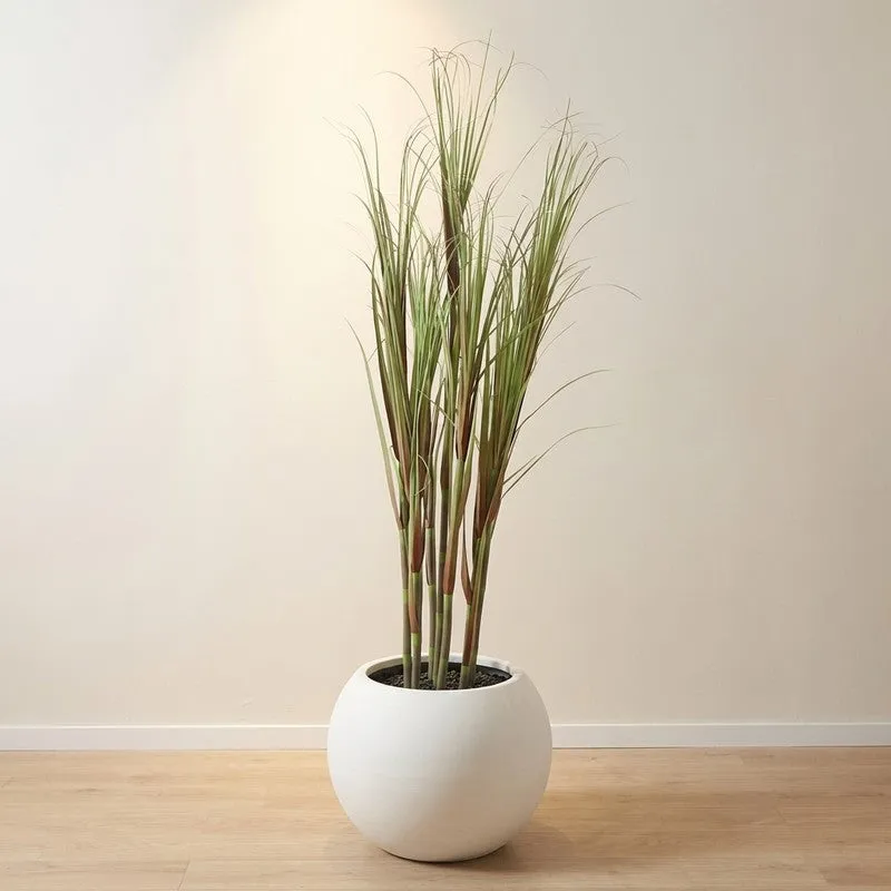 FreshNest Artificial Plant With Black Plastic Pot - 5.9 ft media 1