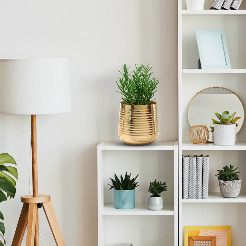 Shimmer Metal Gold Ribbed Planter - Gold media 8