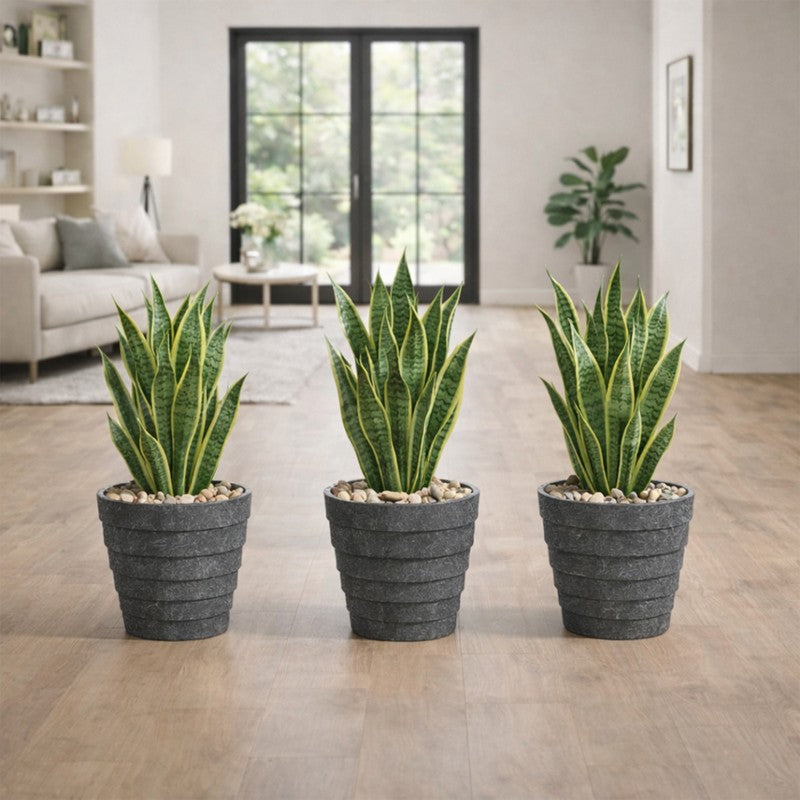 Juniper Planters (Grey) - Set Of Three media 5