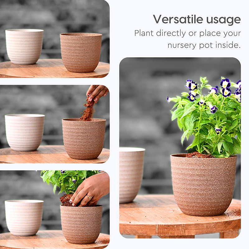 Vita Shell Planter - Set Of Two image 6