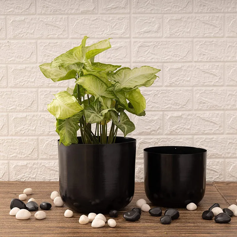 Luxe Glow Planter (Black) - Set Of Two media 2