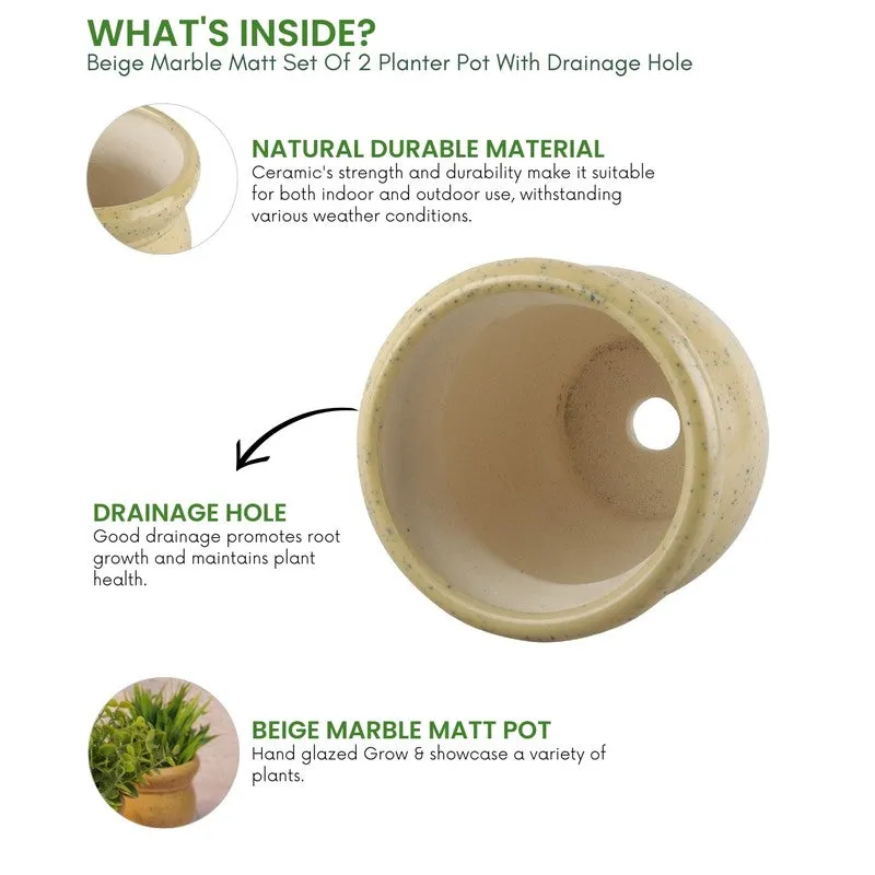GoldenSprout Planters - Set Of Two media 8