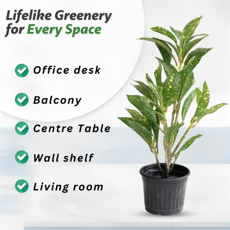 KivaLeaf Artificial Plant With Black Plastic Pots - 1.2 Feet media 5