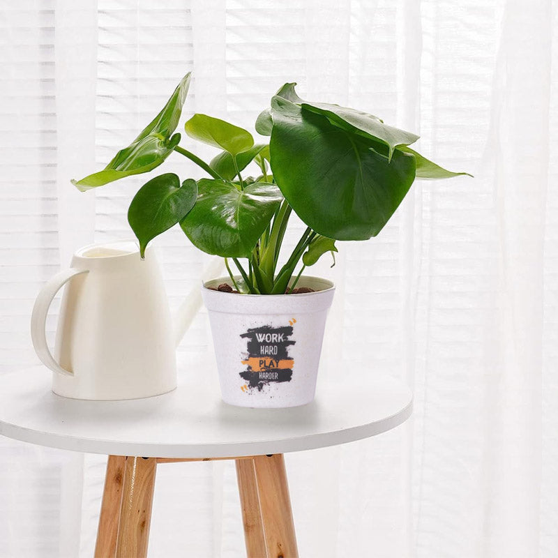 Work Hard White Planter media 5