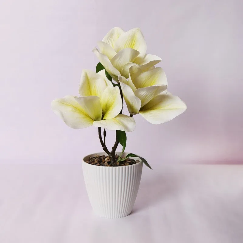 Magnolia Artificial Flower Plant With Black Plastic Pot - White,Yellow media 3