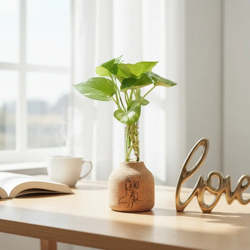 BloomEdge Home Planter - Two Piece Set media 2