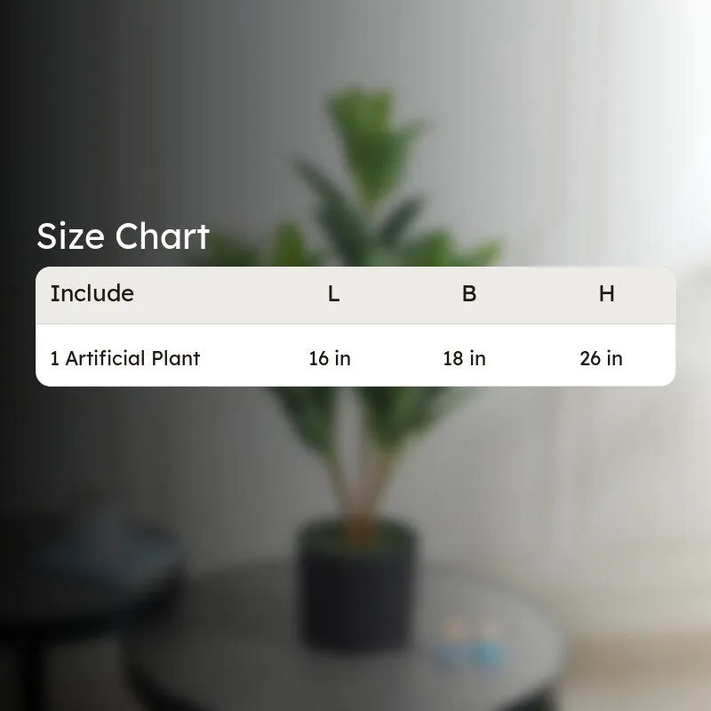 LuxeTouch Artificial Rubber Plant Without Pot - 2.1 Feet media 8