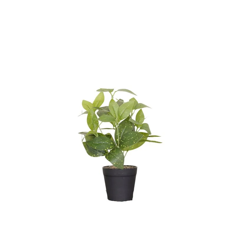 Artificial Grey Croton Plant With Black Fiber Pot - 0.9 Feet media 4