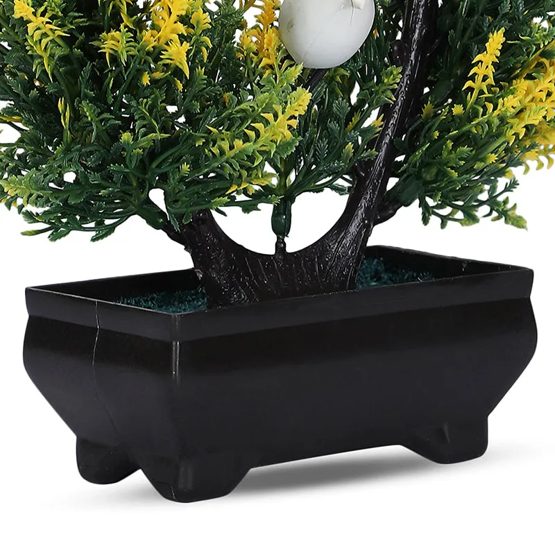 Close-up of the plant's green and yellow foliage above its black plastic pot