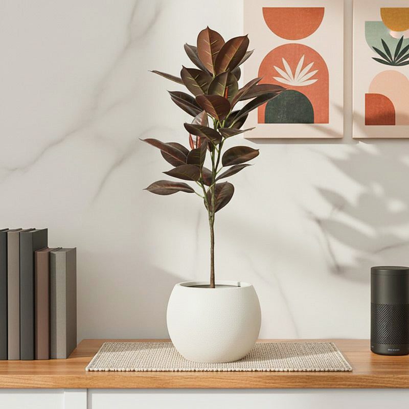 CozyFlora Artificial Rubber Plant With Black Plastic Pot - 2.5 Feet