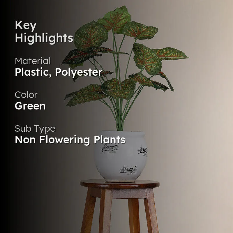 Faux Botanic Caladium Plant - 2 Feet media 2