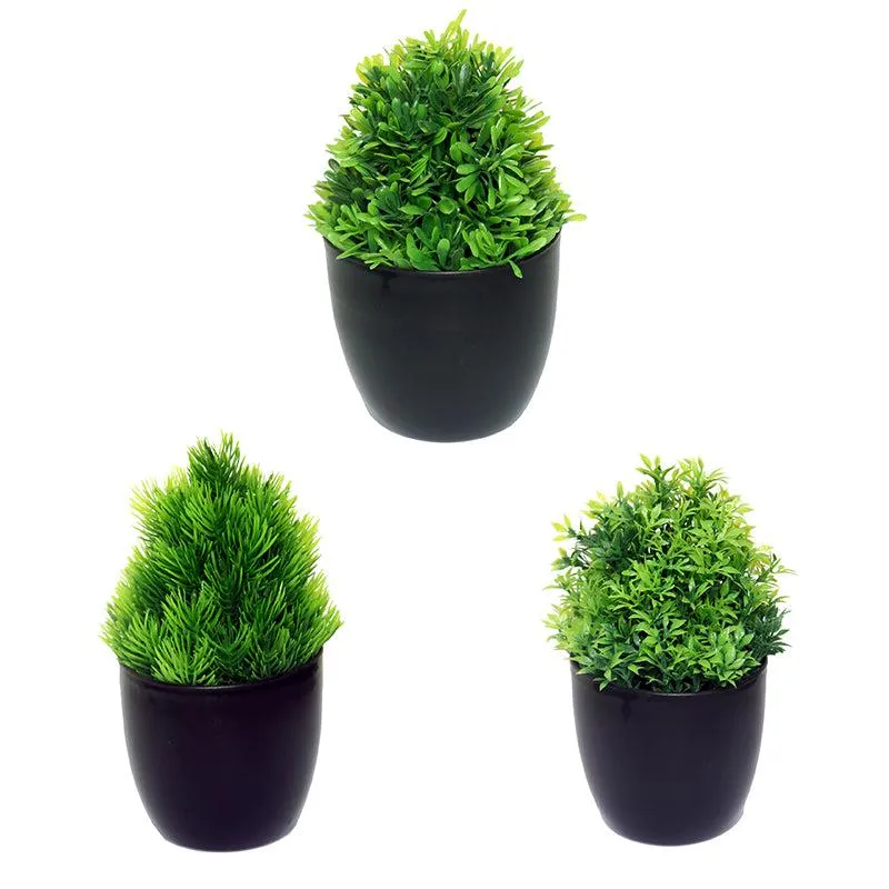 Faux Kesa Plant With Black Plastic Pot - Set Of Three media 4