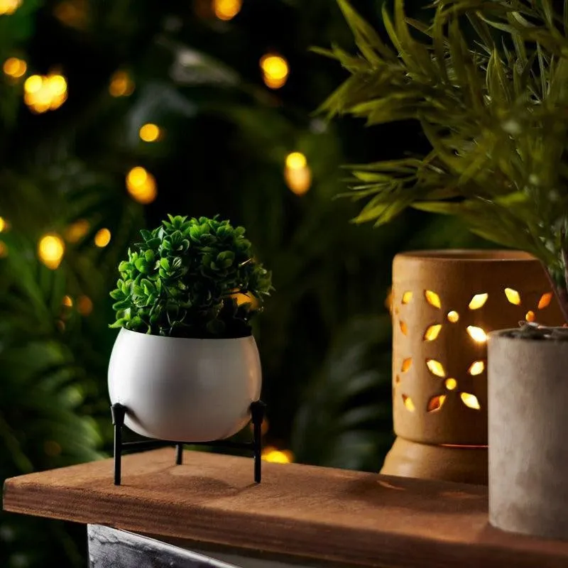 Eukene Metal Planter - White media 1