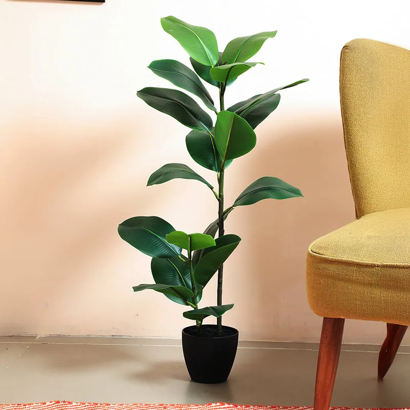 Leafis Artificial Rubber Plant With Black Plastic Pot - 4 Feet media 3