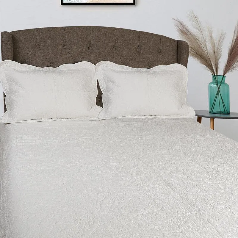 Oceanus Solid Cotton Quilt - 250 GSM media 4