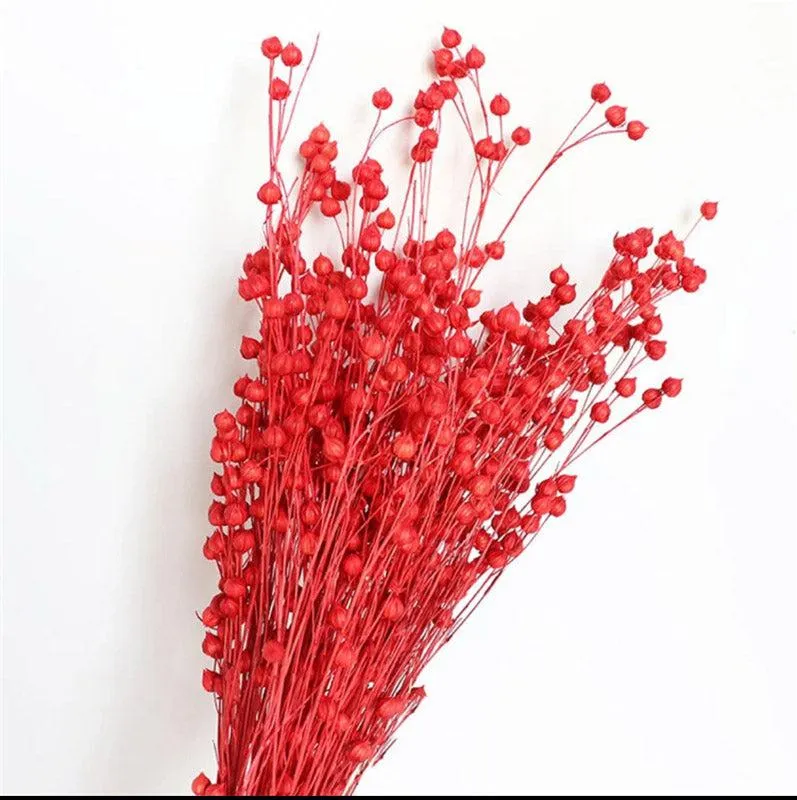 Amora Fax Dried Flower Bunch - Red media 4
