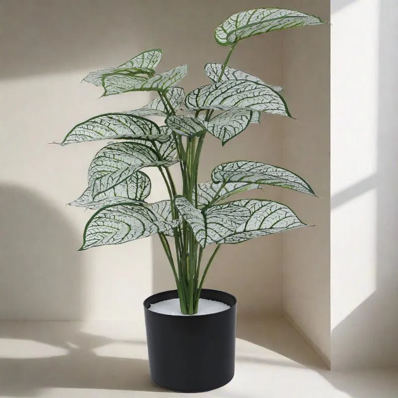 Faux Tropica Dieffenbachia Silk Plant With Black Plastic Pot - 2.13 ft media 4