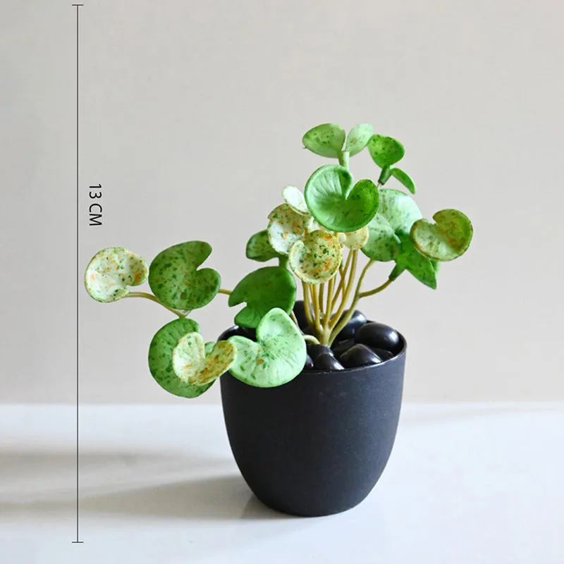 Pennelle Artificial Leaf Pennywort With Black Plastic Pot (Spotted Green) - 13 cm media 6
