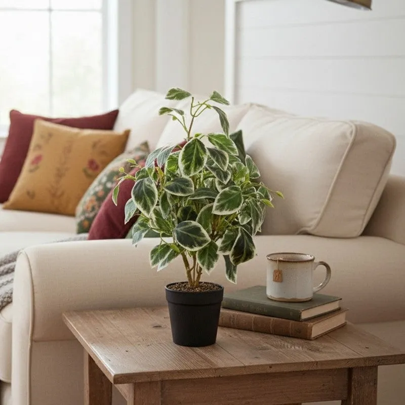 Artificial Pearls & Jade Pothos Plant With Black Fiber Pot - 1 Feet media 5