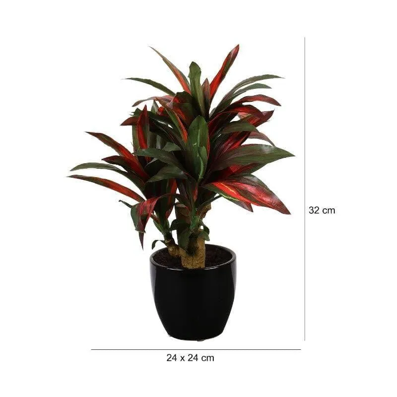 Faux Dracaena Bonsai (35 cms) - Green & Red media 4