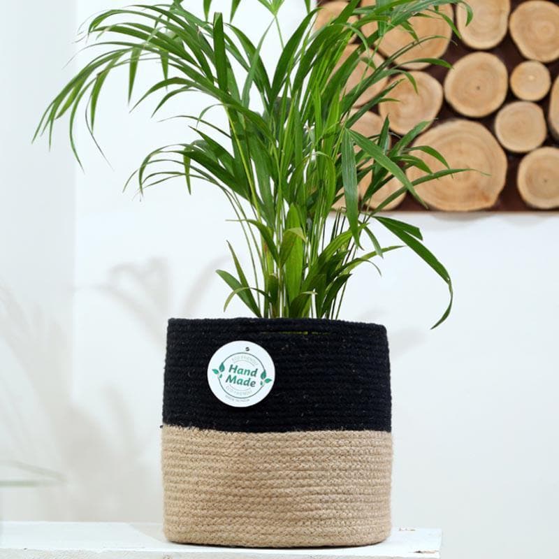 Organic Oasis Jute Planter media 3