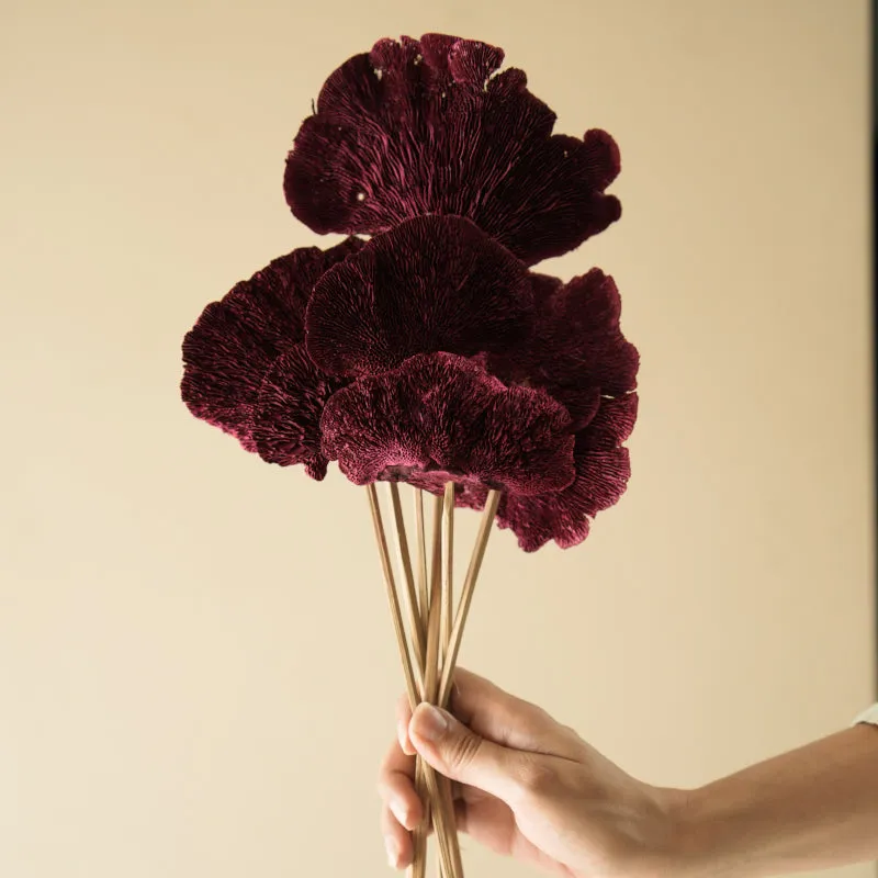 Sponge Mushroom Bunch (Maroon)  - Set Of Five media 3