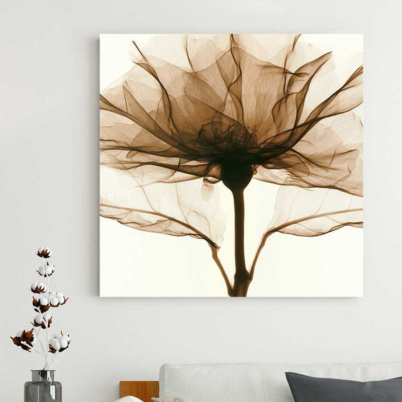 Cotton Canvas